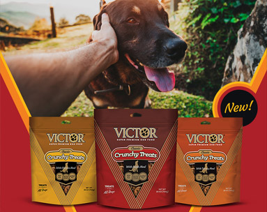 VICTOR CRUNCHY DOG TREATS